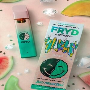 FRYD DISPOSABLE JUICY MELON DEW